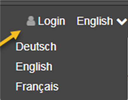 Website Language Selection