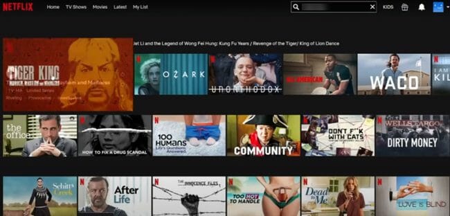 Unblock Netflix